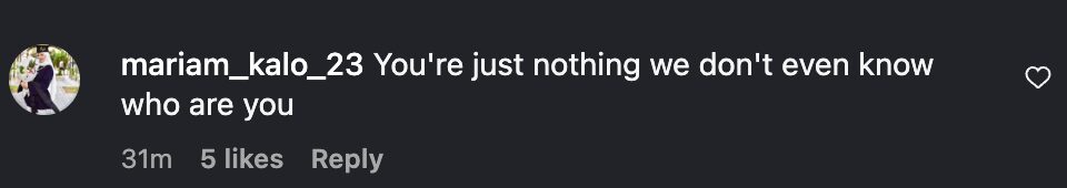 Fan comment criticizing Charlie XCX